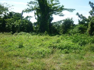 Oracabessa, St. Mary, Jamaica - Residential lot for Sale